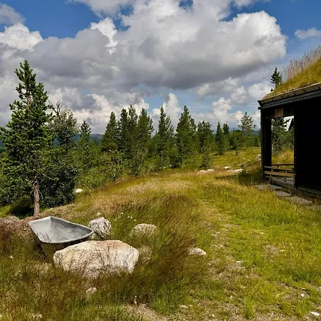 On Hallbjonnsekken With Views Of Spafjell Holiday home Dalen